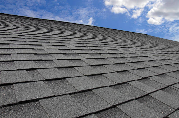 Best Steel Roofing  in Lansford, PA